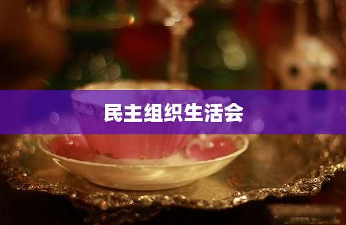 民主组织生活会