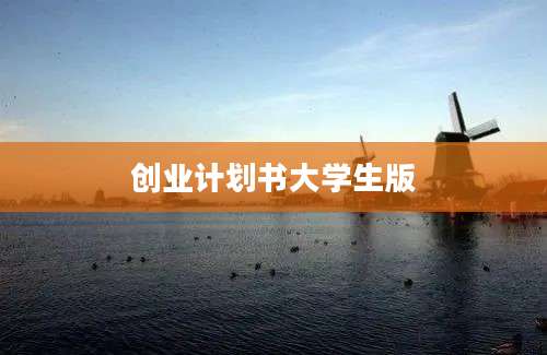 创业计划书大学生版