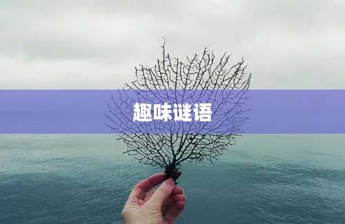 趣味谜语