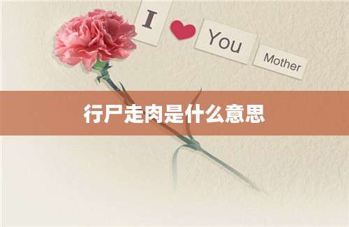 行尸走肉是什么意思