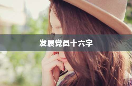 发展党员十六字