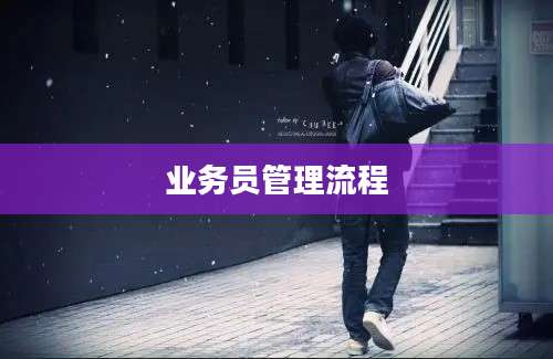 业务员管理流程