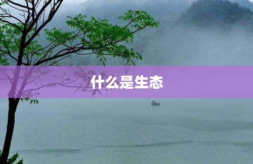 什么是生态