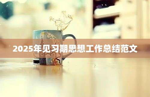 2025年见习期思想工作总结范文
