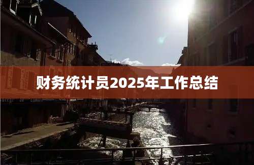财务统计员2025年工作总结