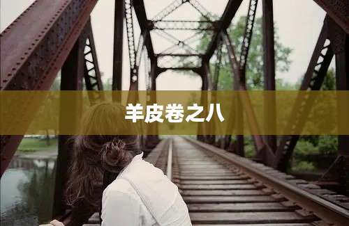 羊皮卷之八