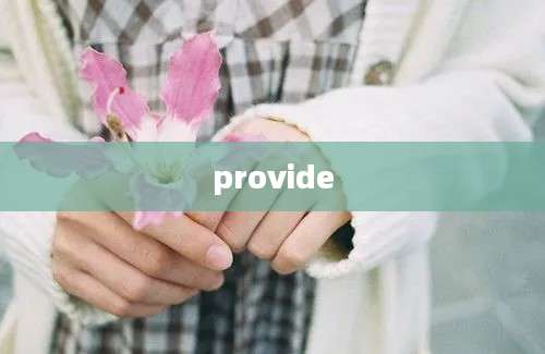 provide
