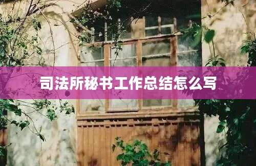 司法所秘书工作总结怎么写
