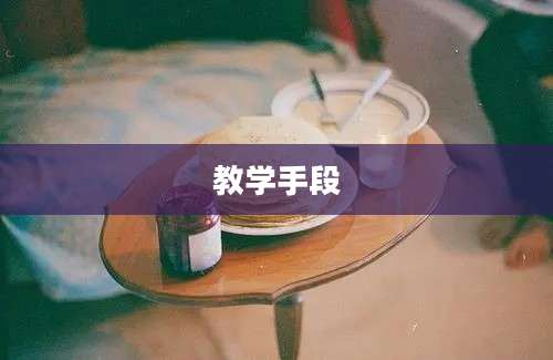 教学手段