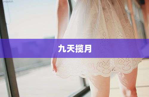 九天揽月