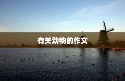 有关动物的作文