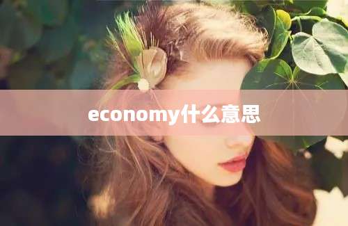 economy什么意思