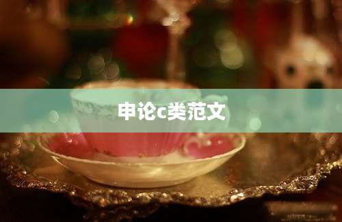 申论c类范文