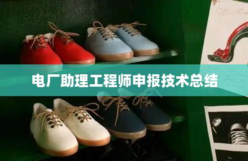 电厂助理工程师申报技术总结