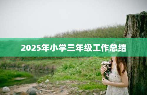 2025年小学三年级工作总结