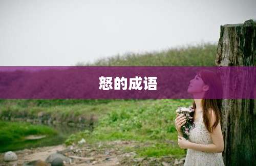 怒的成语
