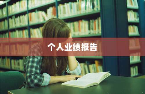 个人业绩报告