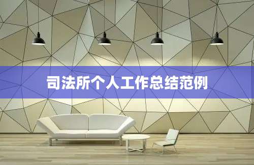 司法所个人工作总结范例