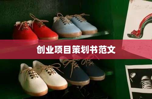 创业项目策划书范文