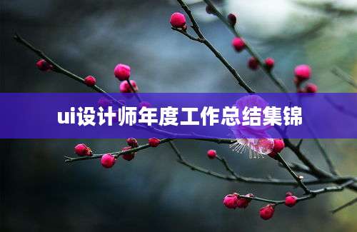 ui设计师年度工作总结集锦
