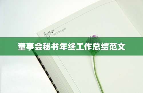 董事会秘书年终工作总结范文