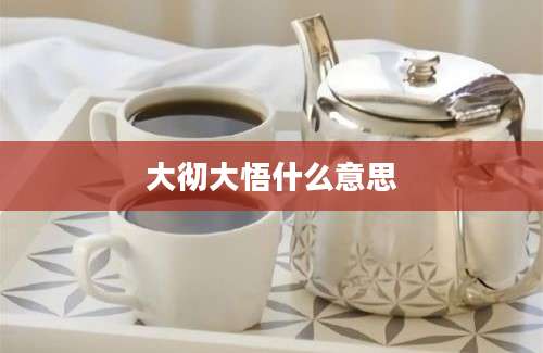大彻大悟什么意思