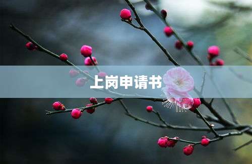 上岗申请书