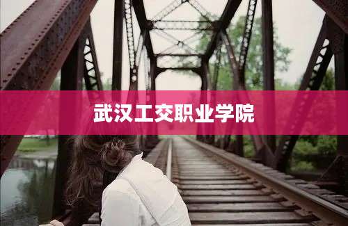 武汉工交职业学院
