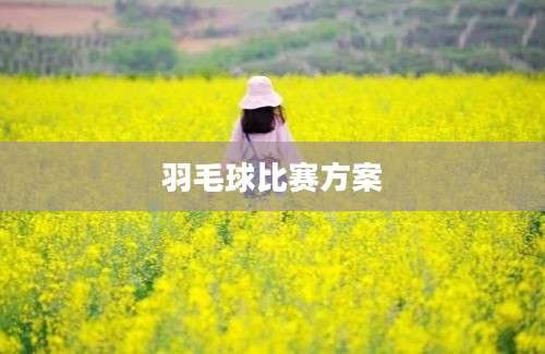 羽毛球比赛方案