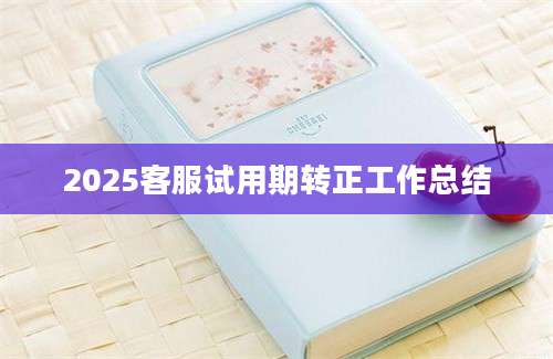 2025客服试用期转正工作总结