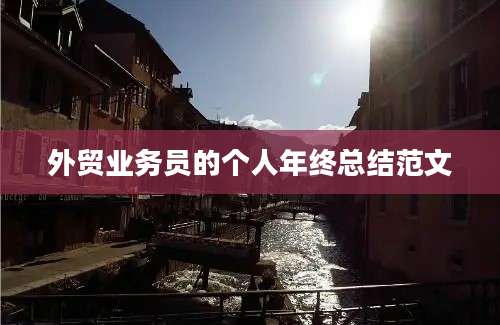外贸业务员的个人年终总结范文