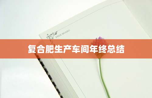 复合肥生产车间年终总结
