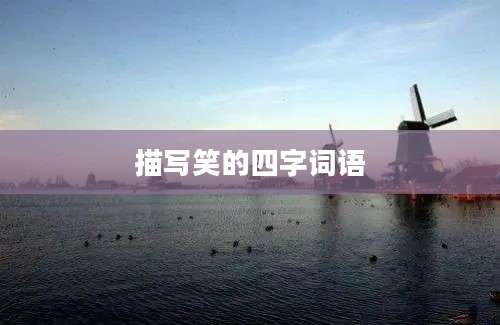 描写笑的四字词语