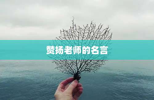 赞扬老师的名言