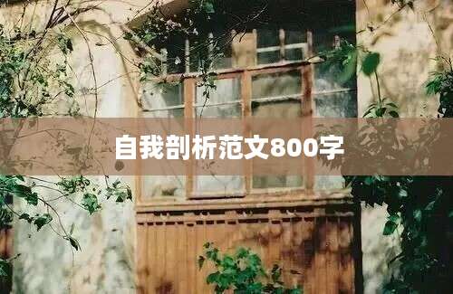 自我剖析范文800字