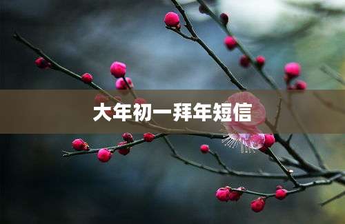 大年初一拜年短信