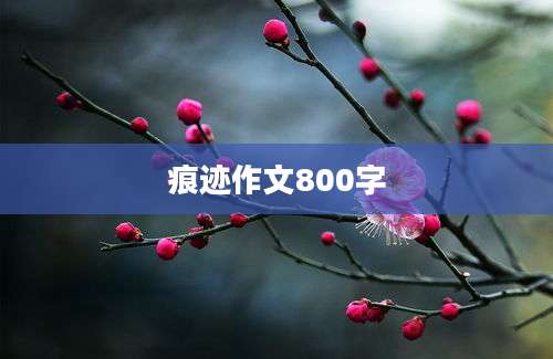 痕迹作文800字