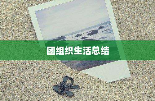 团组织生活总结