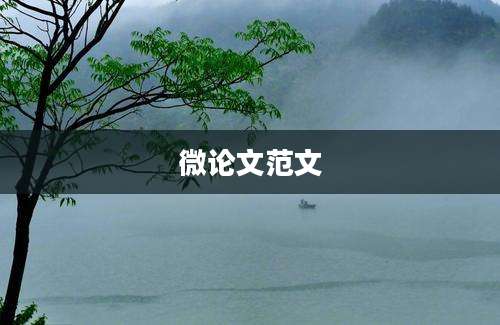 微论文范文