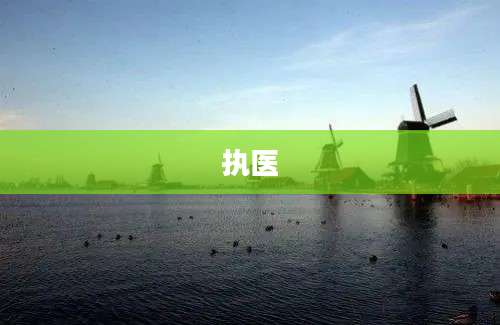 执医