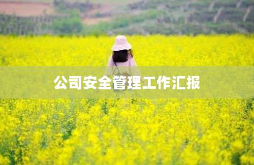 公司安全管理工作汇报