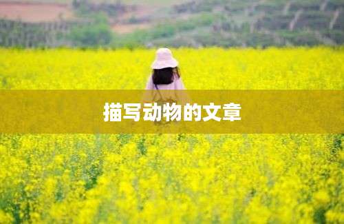 描写动物的文章