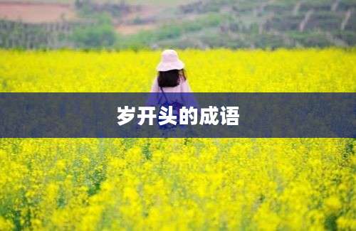 岁开头的成语