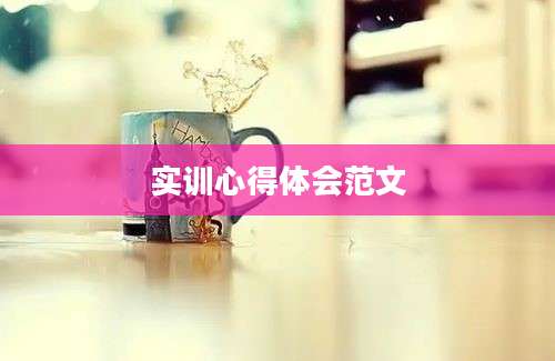 实训心得体会范文