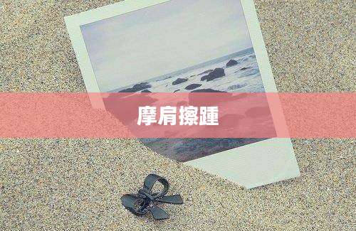 摩肩擦踵