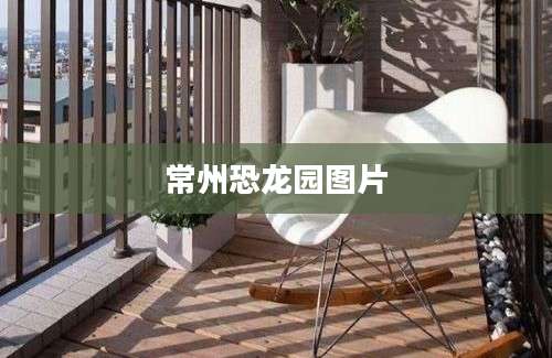 常州恐龙园图片