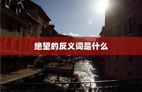 绝望的反义词是什么