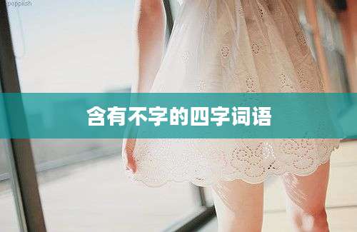 含有不字的四字词语