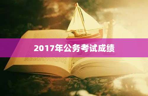 2017年公务考试成绩