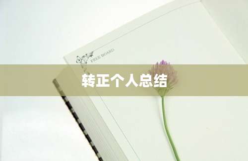 转正个人总结